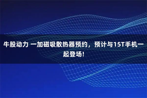 牛股动力 一加磁吸散热器预约，预计与15T手机一起登场!