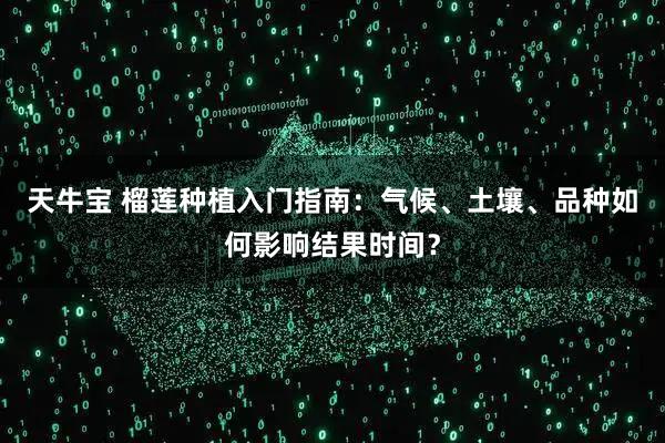 天牛宝 榴莲种植入门指南：气候、土壤、品种如何影响结果时间？