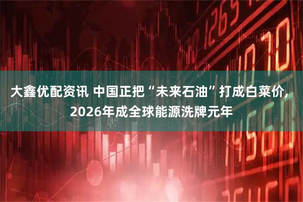 大鑫优配资讯 中国正把“未来石油”打成白菜价, 2026年成全球能源洗牌元年